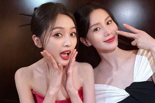 明星黑料大全 热门大瓜每日大赛,明星黑料大揭秘，每日热门大瓜盘点